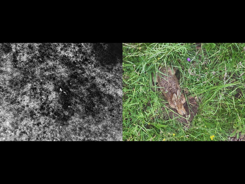 Bilder PS Dronography