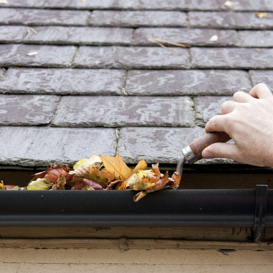 Bilder Haushelden Bremen