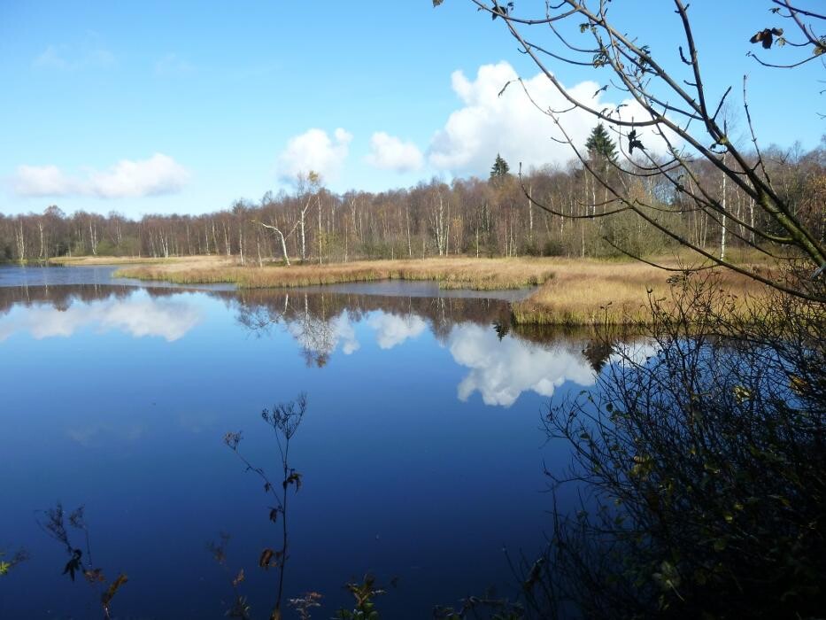 Bilder Ferienwohnung Elvira & Joachim Trapp