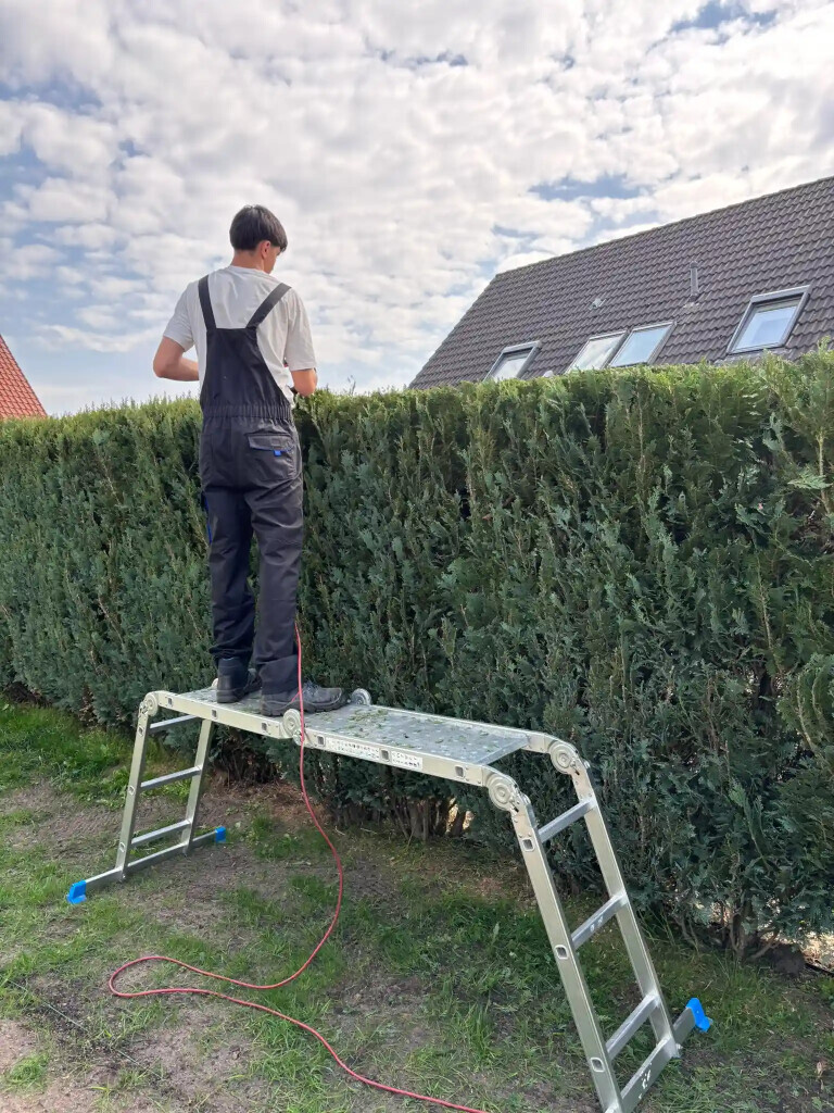Bilder Garten- und Hausmeisterservice Joel Dehmelt
