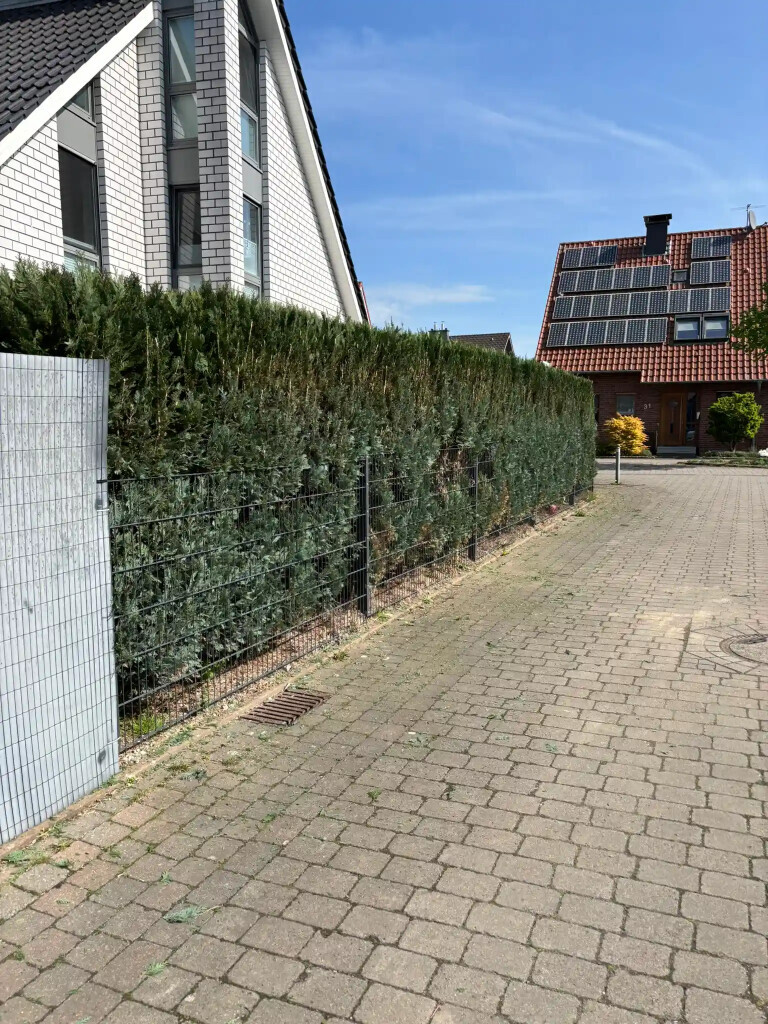 Bilder Garten- und Hausmeisterservice Joel Dehmelt