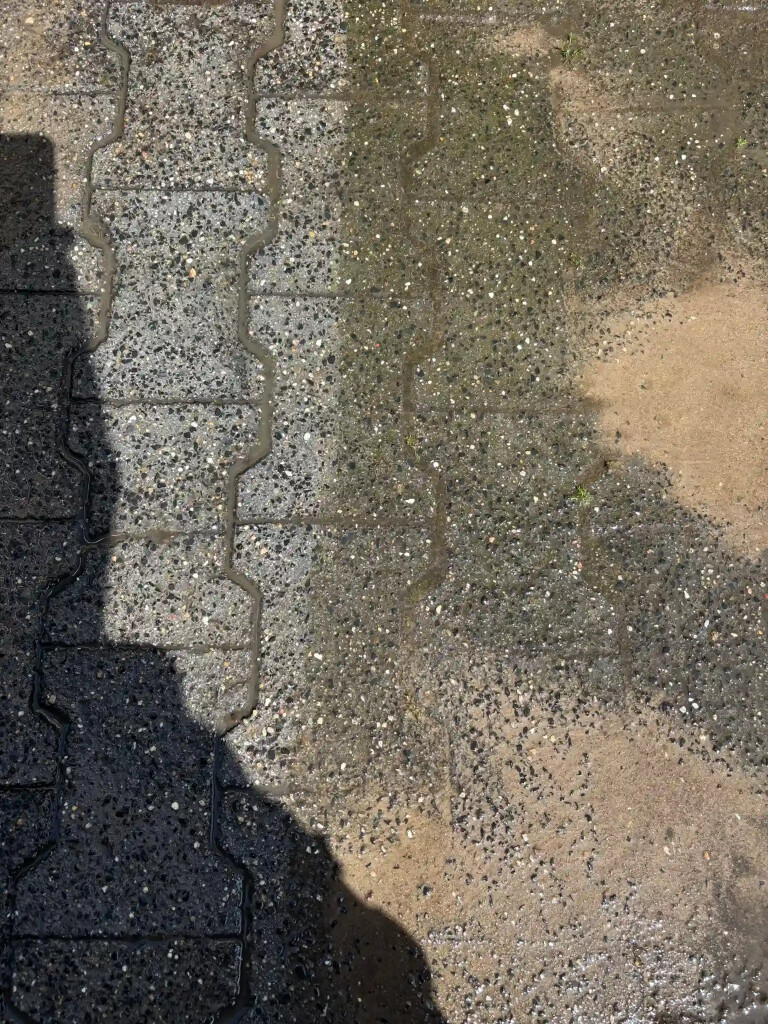 Bilder Garten- und Hausmeisterservice Joel Dehmelt