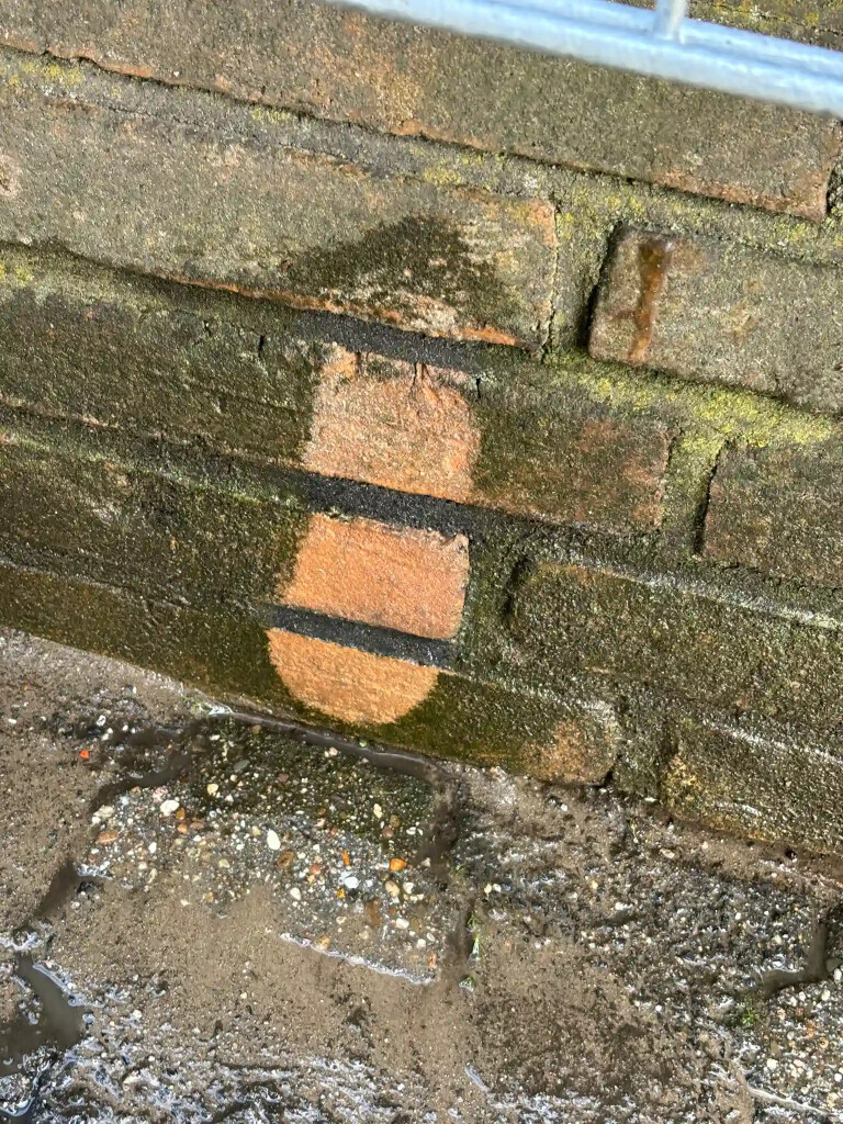 Bilder Garten- und Hausmeisterservice Joel Dehmelt