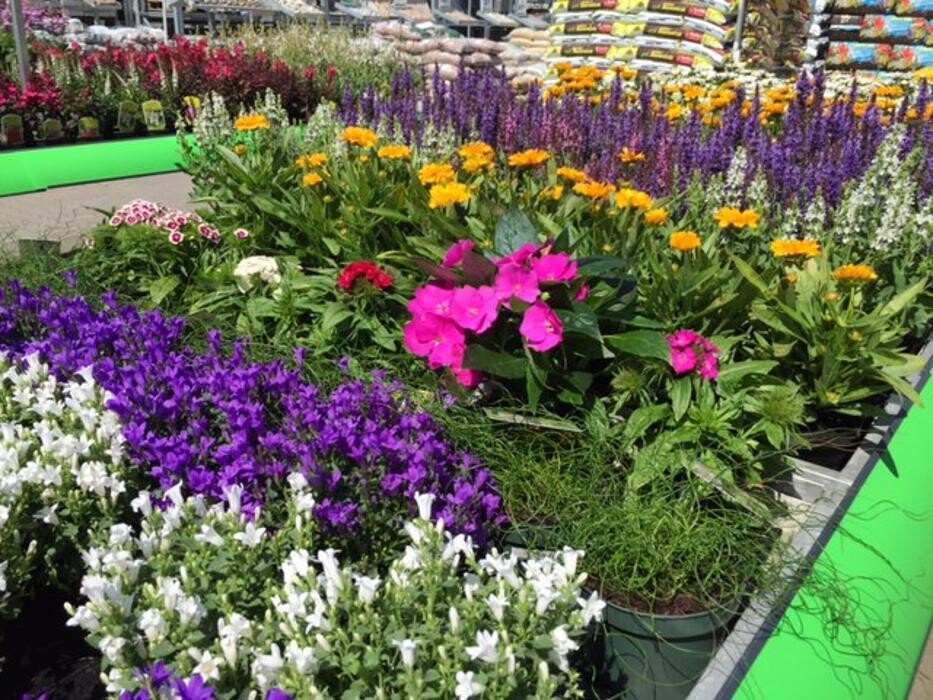 Bilder hagebaumarkt Schwerin