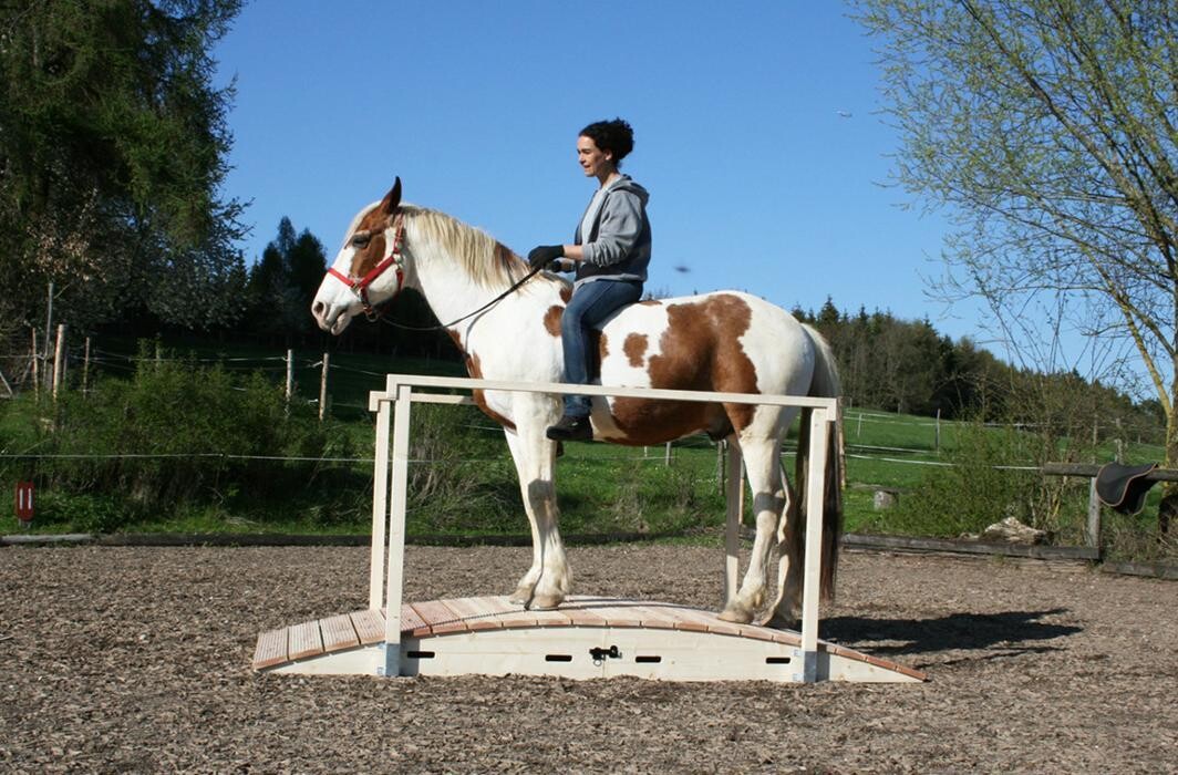Bilder Working-Equitation-Equipment by Mammut Raufen