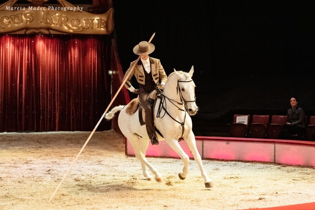Bilder Working-Equitation-Equipment by Mammut Raufen