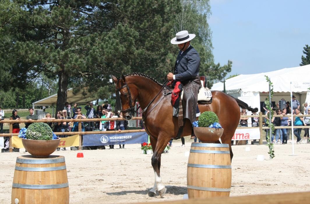Bilder Working-Equitation-Equipment by Mammut Raufen