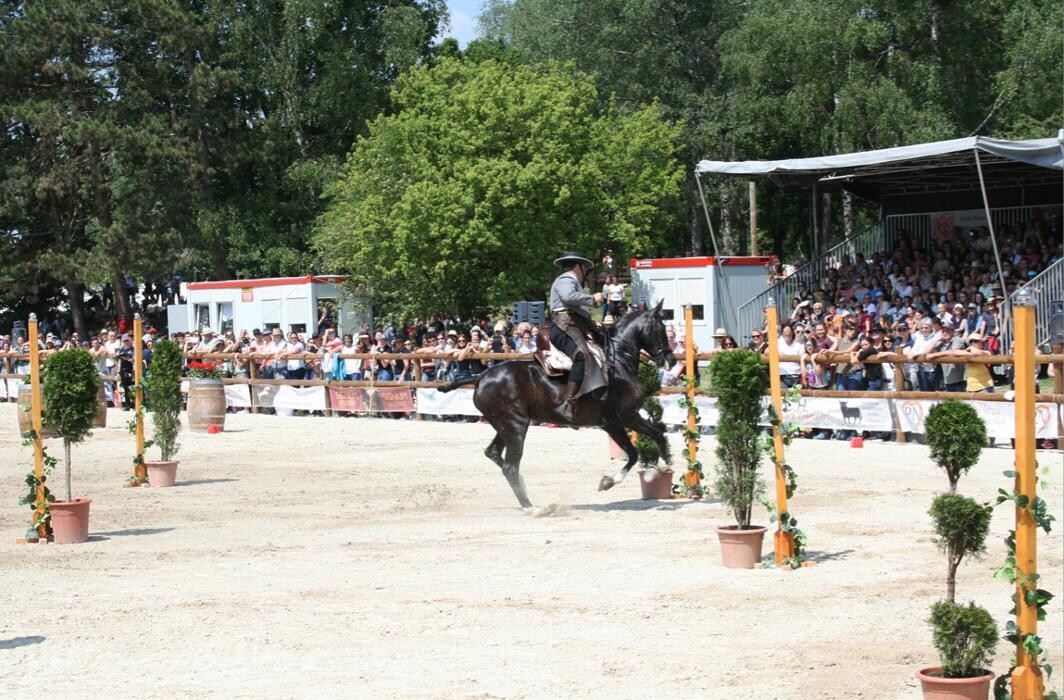 Bilder Working-Equitation-Equipment by Mammut Raufen