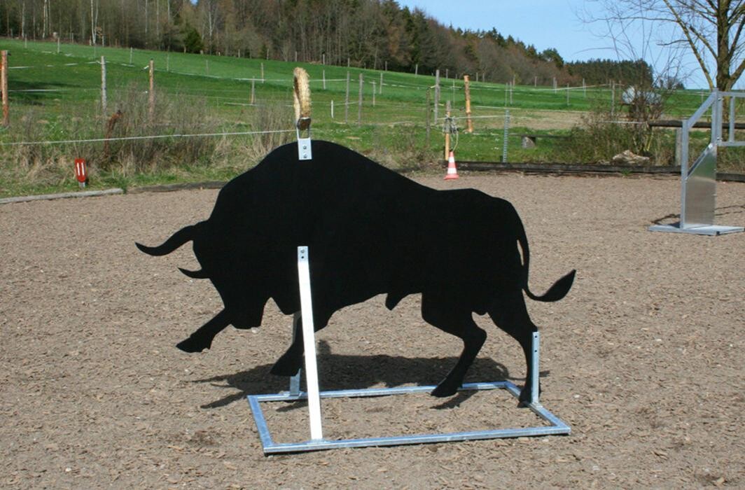 Bilder Working-Equitation-Equipment by Mammut Raufen