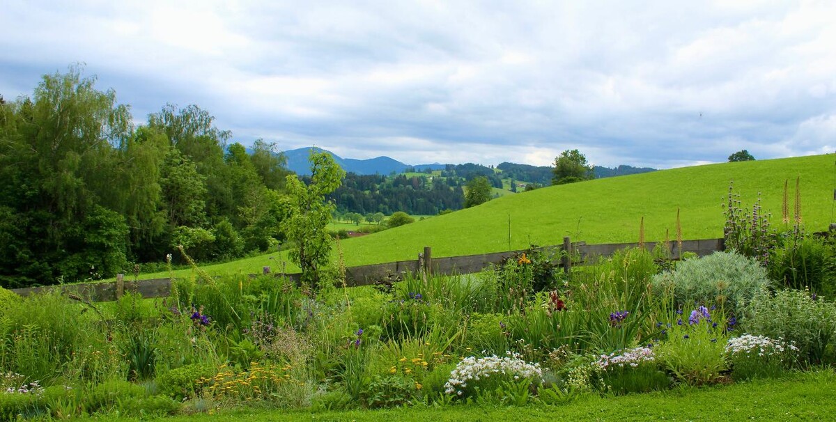 Bilder Ferienhaus Landsitz Rocky Docky