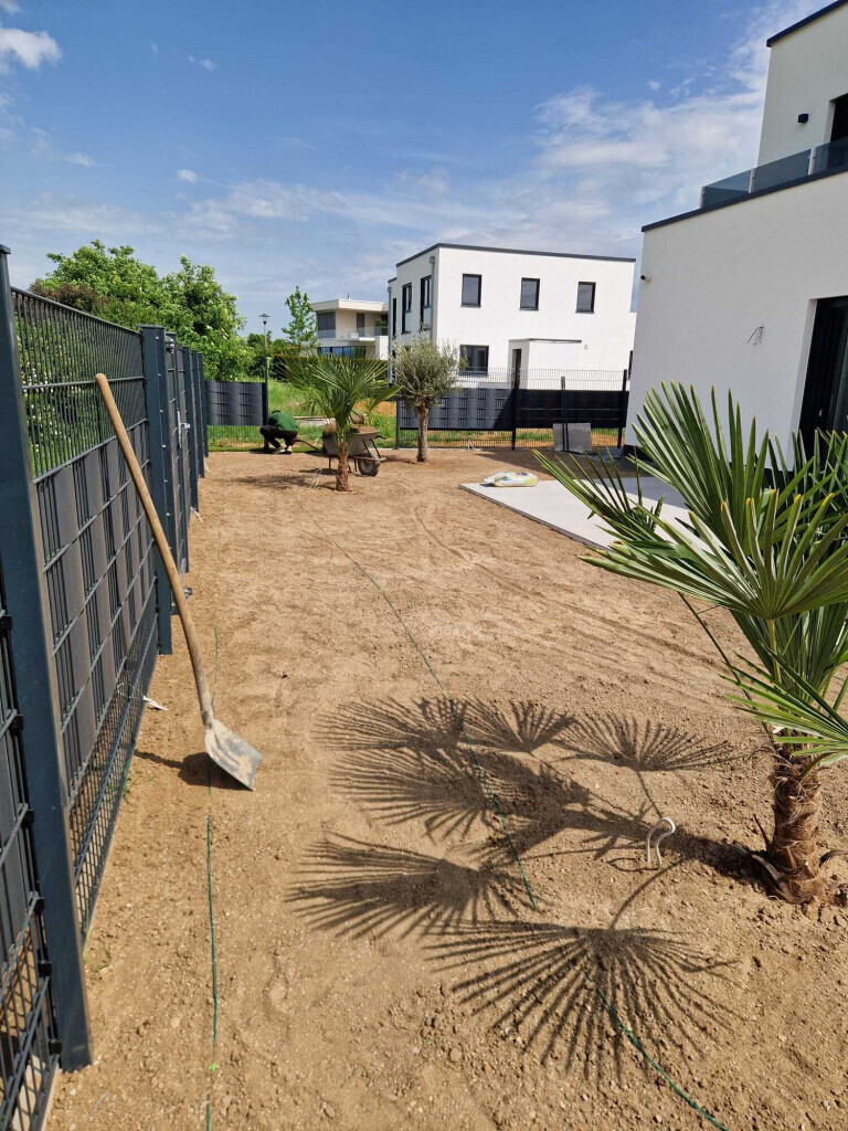 Bilder Marc Meli Galaservice