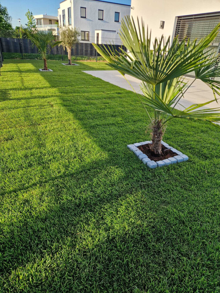 Bilder Marc Meli Galaservice