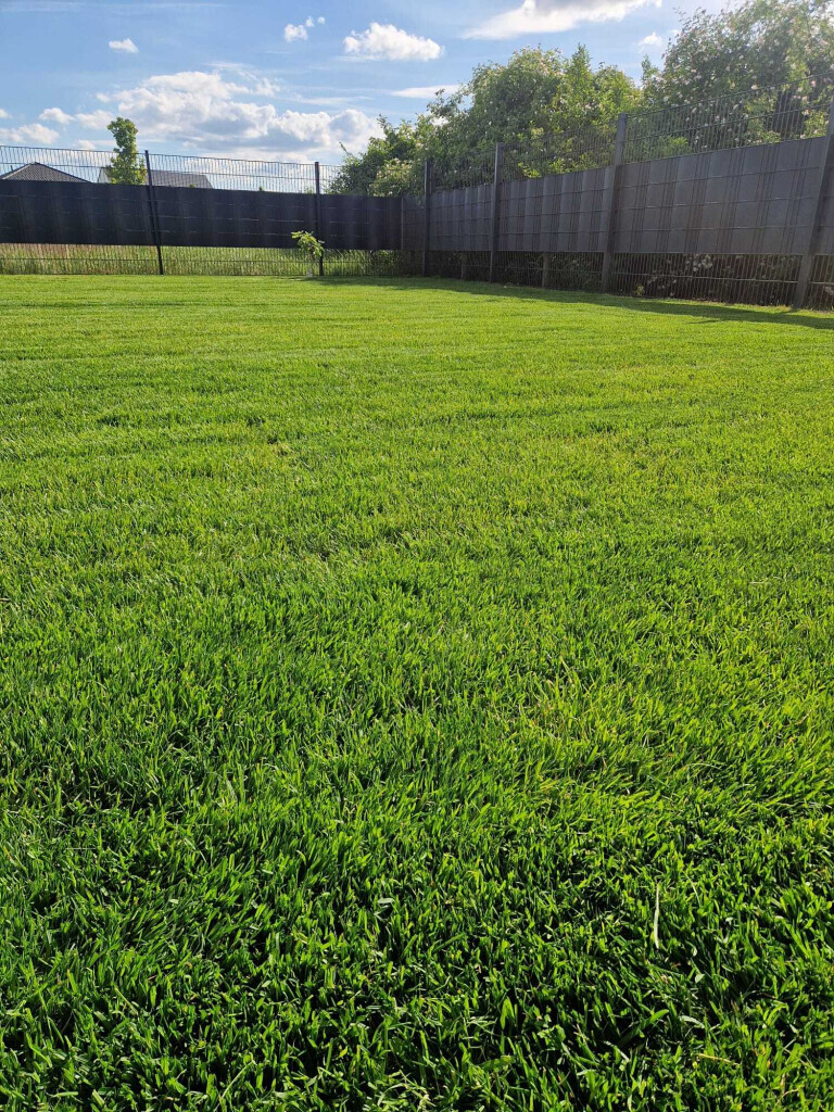 Bilder Marc Meli Galaservice