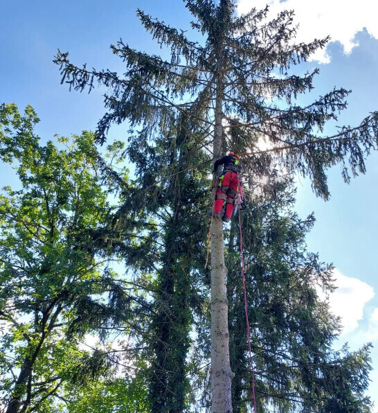 Bilder Garten und Forstbetrieb Feibig