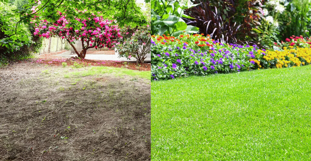 Bilder Powerglanz Bau- und Reinigungstechnik