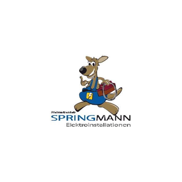 Springmann Elektroinstallation Logo