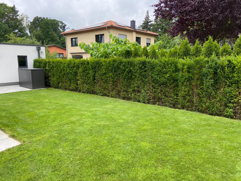 Bilder NG SERVICES BERLIN