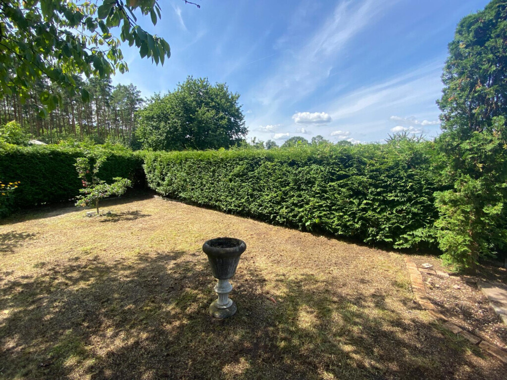 Bilder NG SERVICES BERLIN