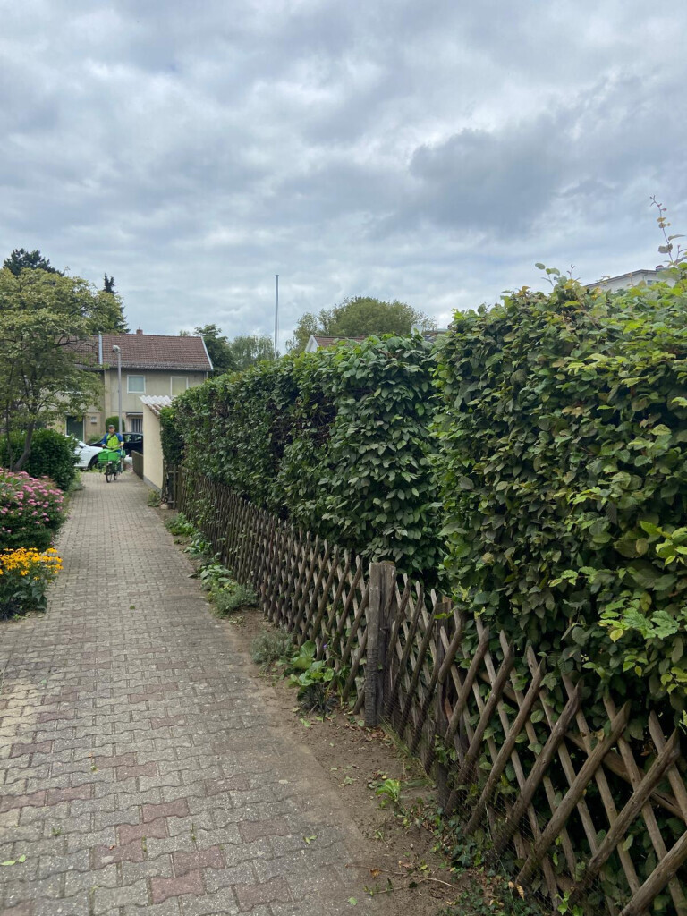 Bilder NG SERVICES BERLIN