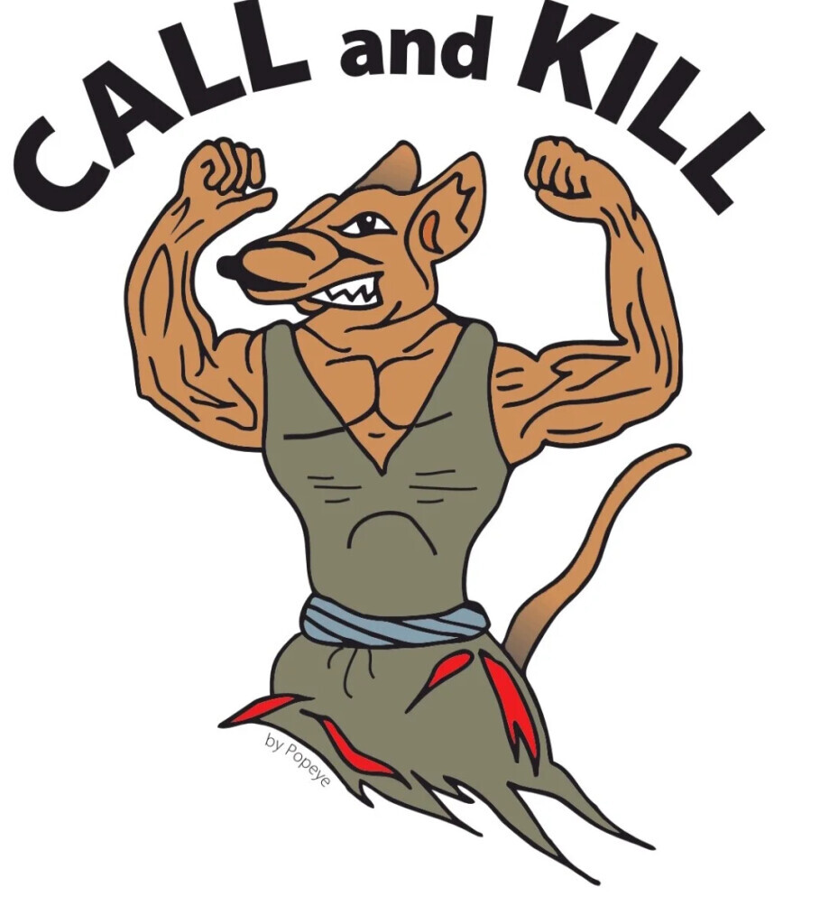 Call and kill Logo