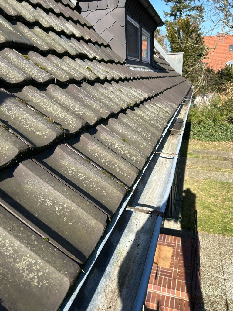 Bilder Dachdienste Plus UG haftungsbeschränkt