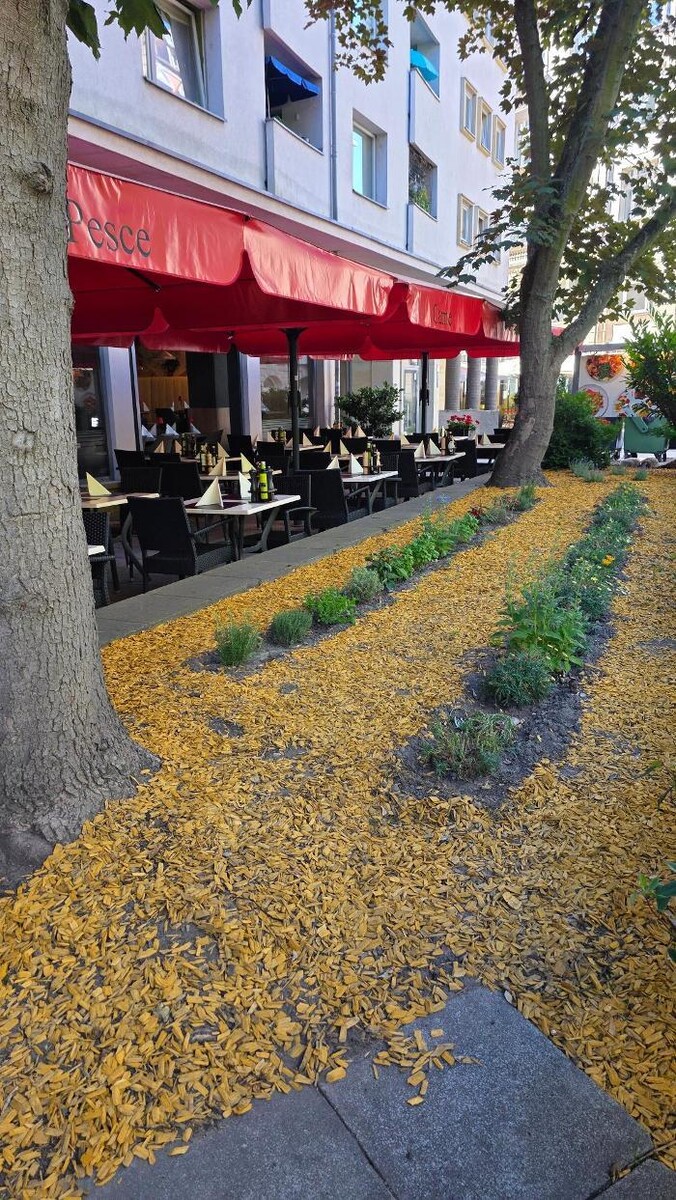 Bilder Ristorante Paganini