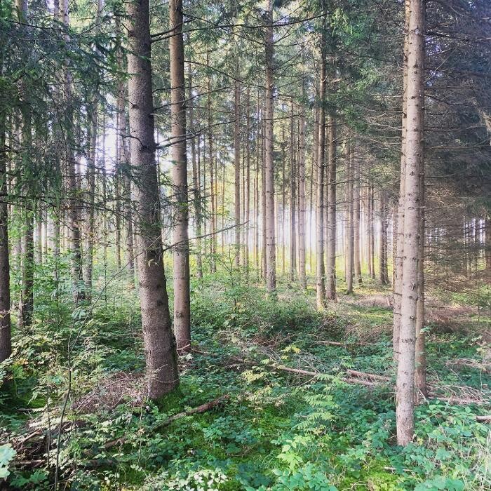 Bilder Praxis für Psychotherapie & Systemische Beratung - Aika Madlener (HeilprG)