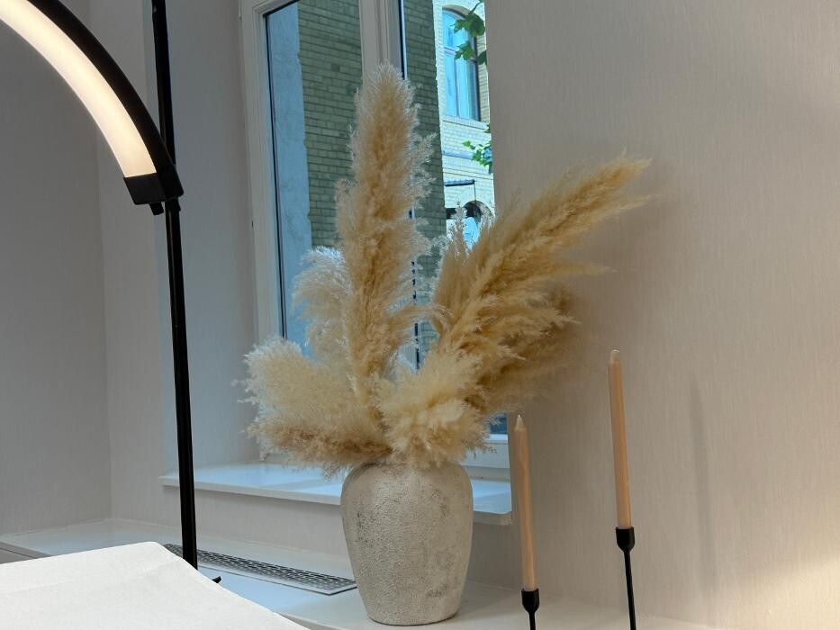 Bilder Ästhetik Art