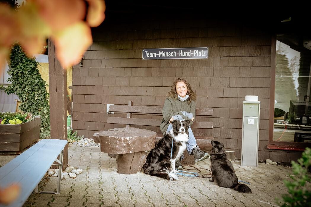 Bilder TEAMH Hundeschule Schömberg