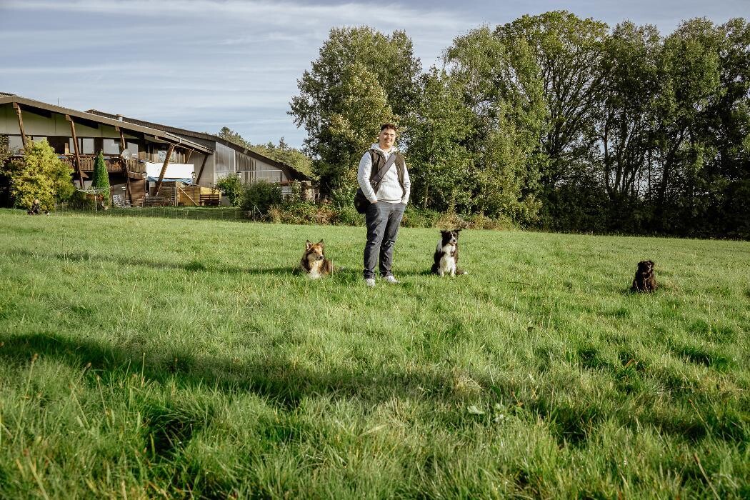 Bilder TEAMH Hundeschule Schömberg