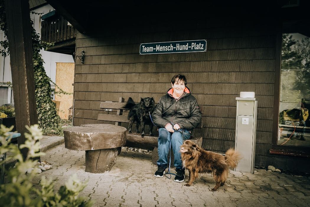 Bilder TEAMH Hundeschule Schömberg