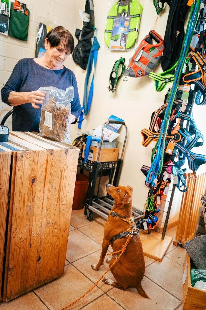 Bilder TEAMH Hundeschule Schömberg
