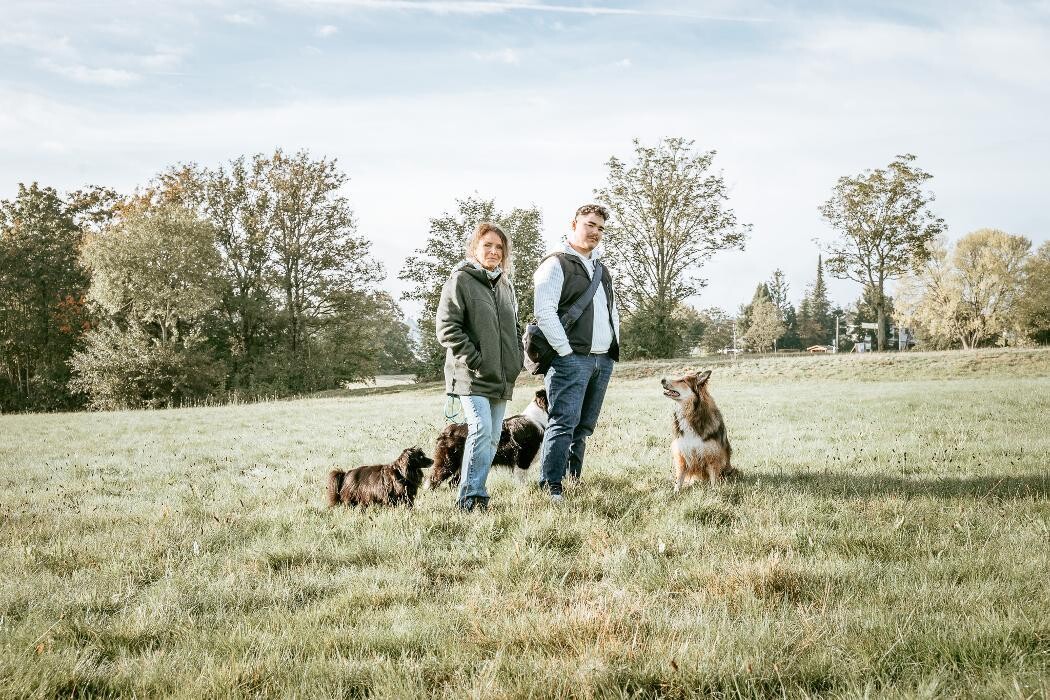 Bilder TEAMH Hundeschule Schömberg