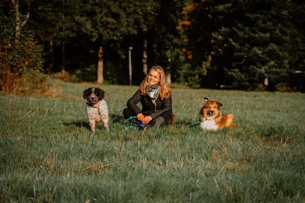 Bilder TEAMH Hundeschule Schömberg