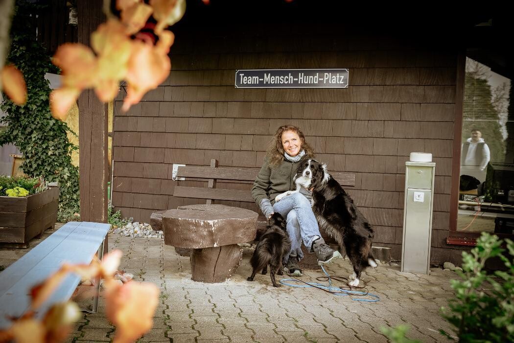 Bilder TEAMH Hundeschule Schömberg