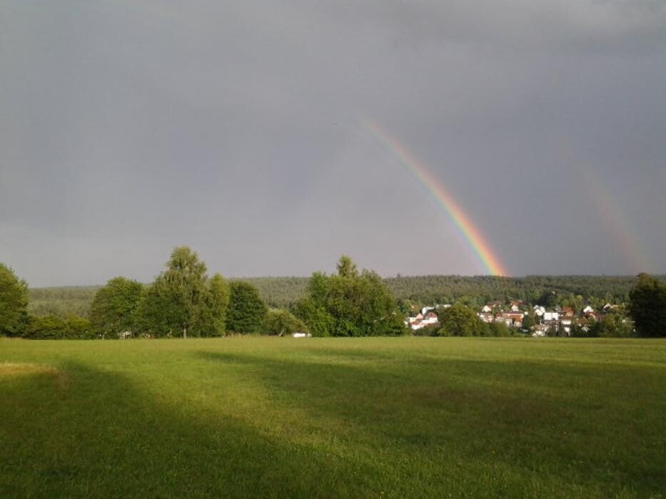 Bilder TEAMH Hundeschule Schömberg