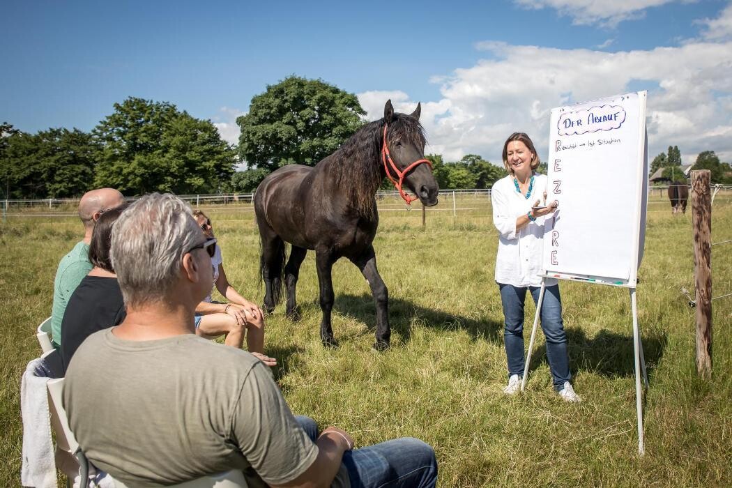 Bilder EQzellent - Bildungszentrum für pferdegestützte Coachings