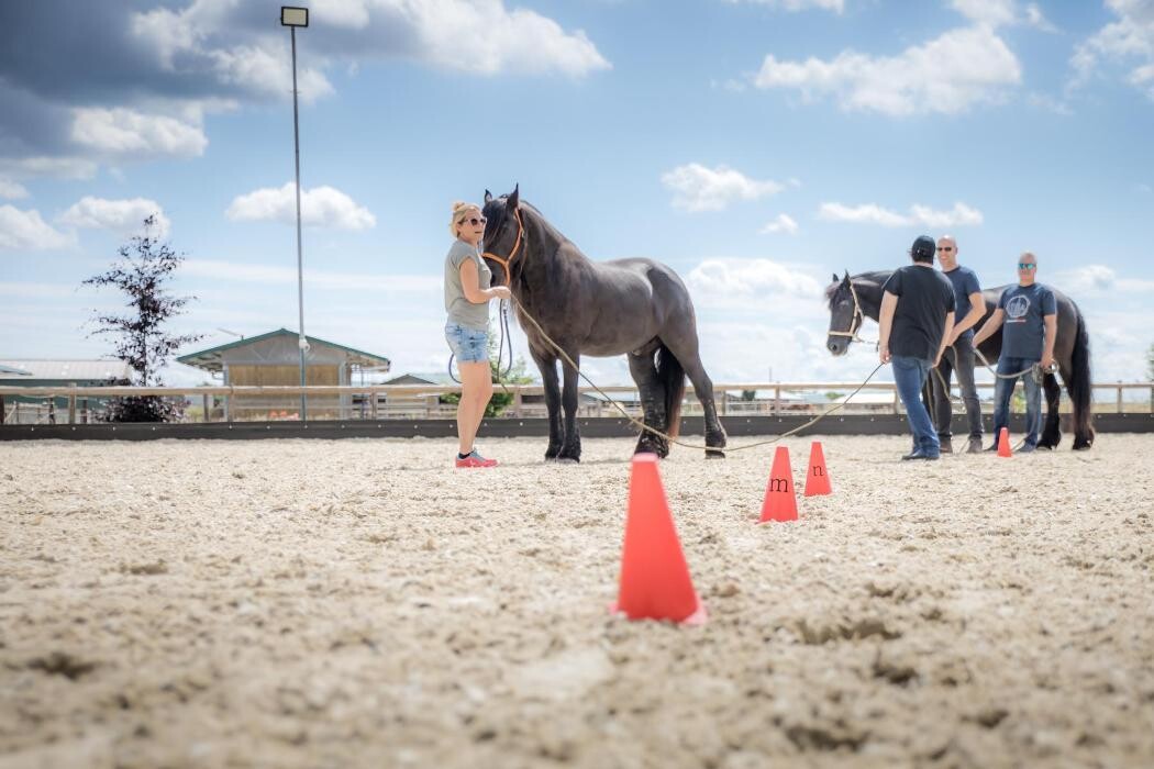 Bilder EQzellent - Bildungszentrum für pferdegestützte Coachings