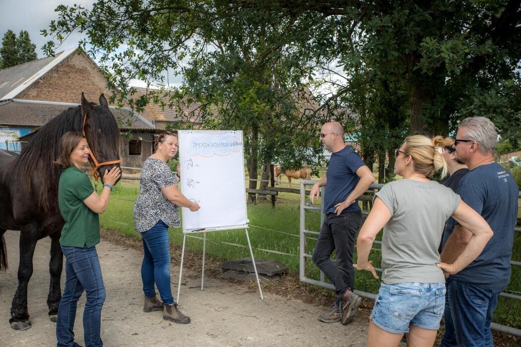 Bilder EQzellent - Bildungszentrum für pferdegestützte Coachings