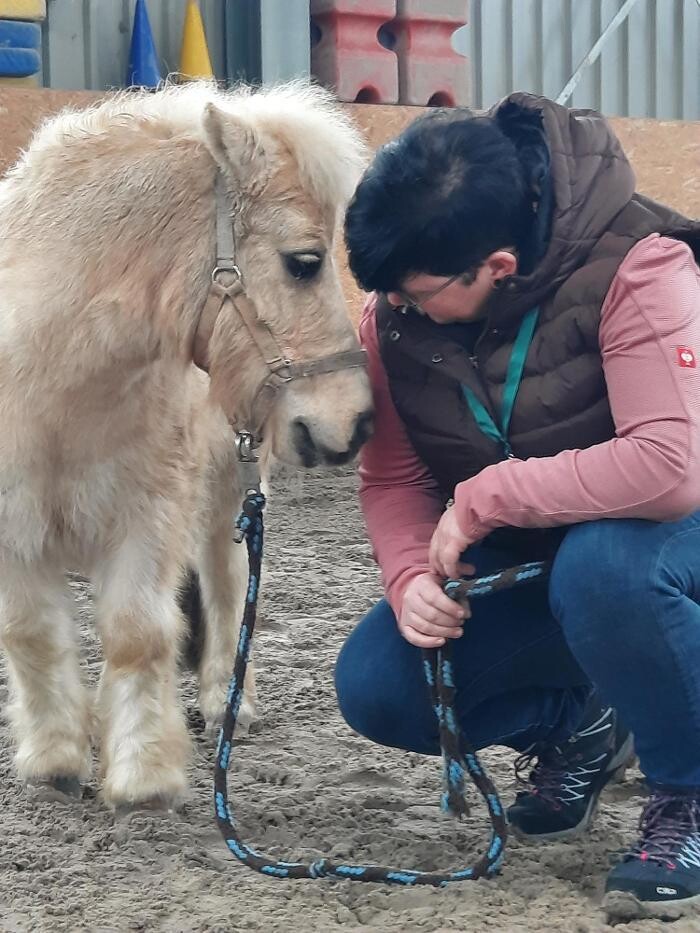 Bilder EQzellent - Bildungszentrum für pferdegestützte Coachings