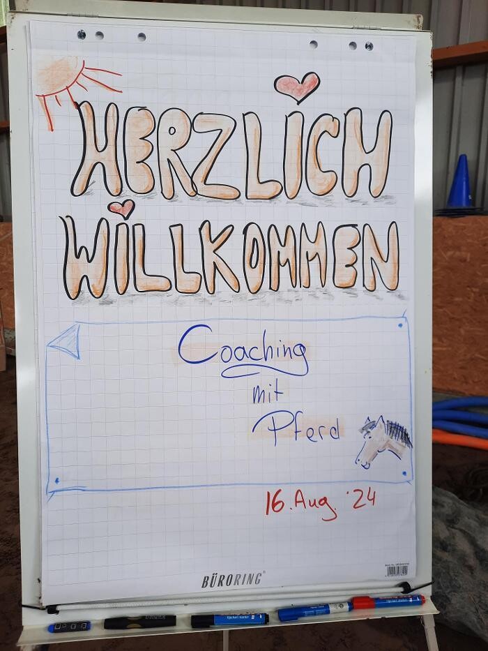 Bilder EQzellent - Bildungszentrum für pferdegestützte Coachings