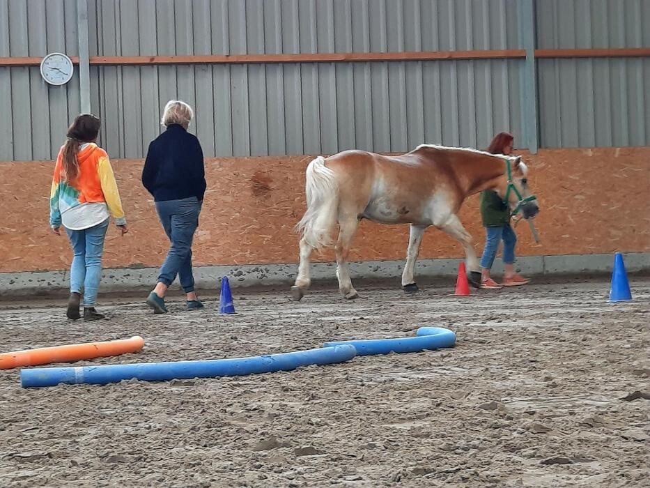 Bilder EQzellent - Bildungszentrum für pferdegestützte Coachings