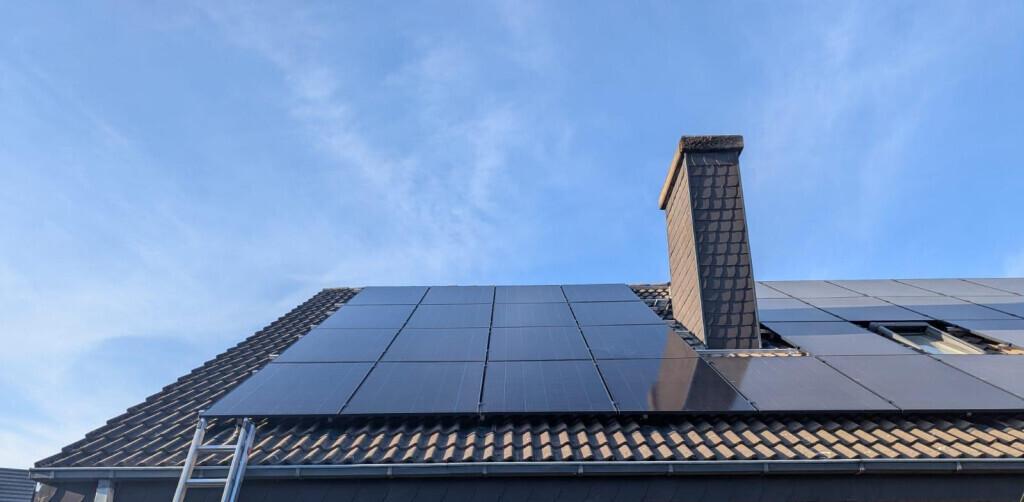 Bilder Regenerate - Max August