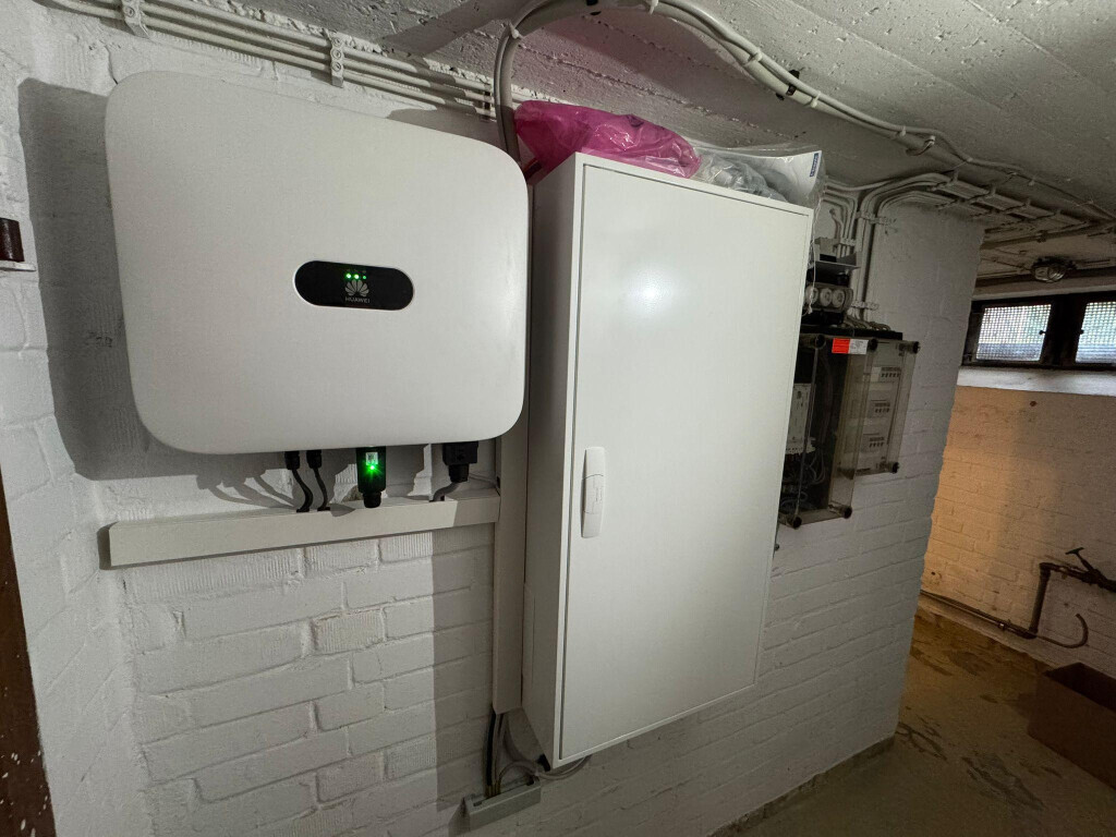 Bilder Regenerate - Max August