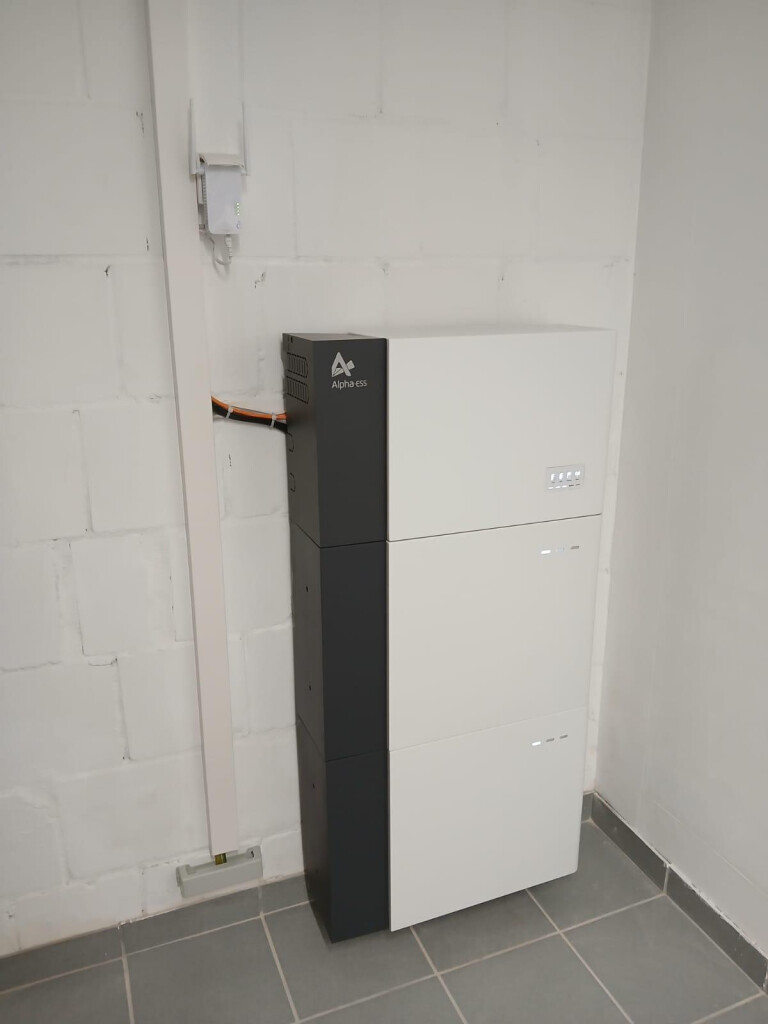 Bilder Regenerate - Max August