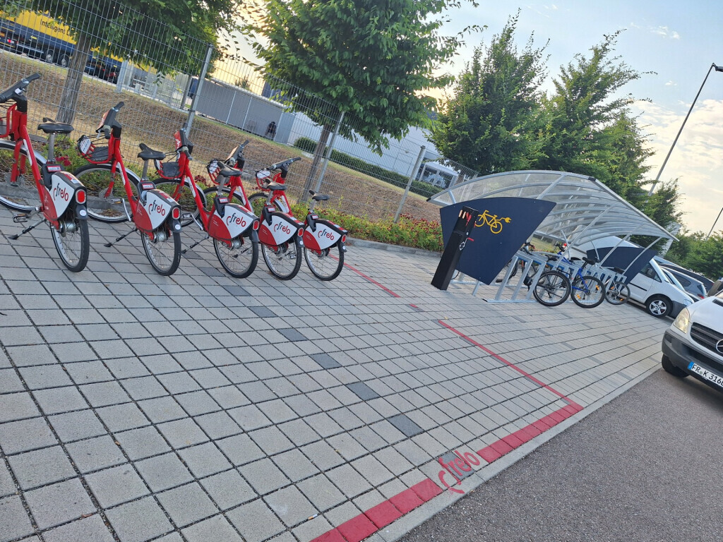 Bilder Markgräfler Gebäude und Gartenservice