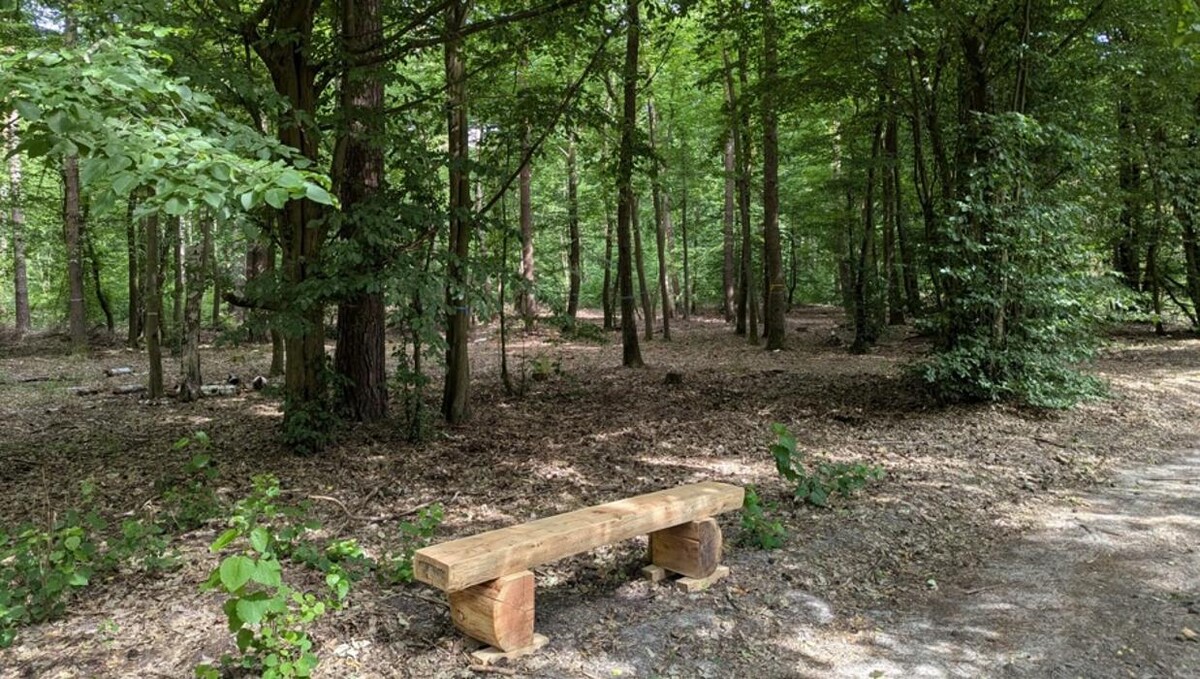 Bilder FriedWald Oberkrämer