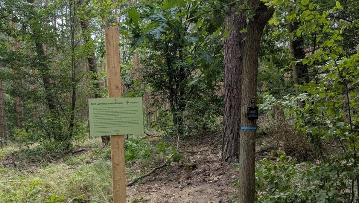 Bilder FriedWald Oberkrämer