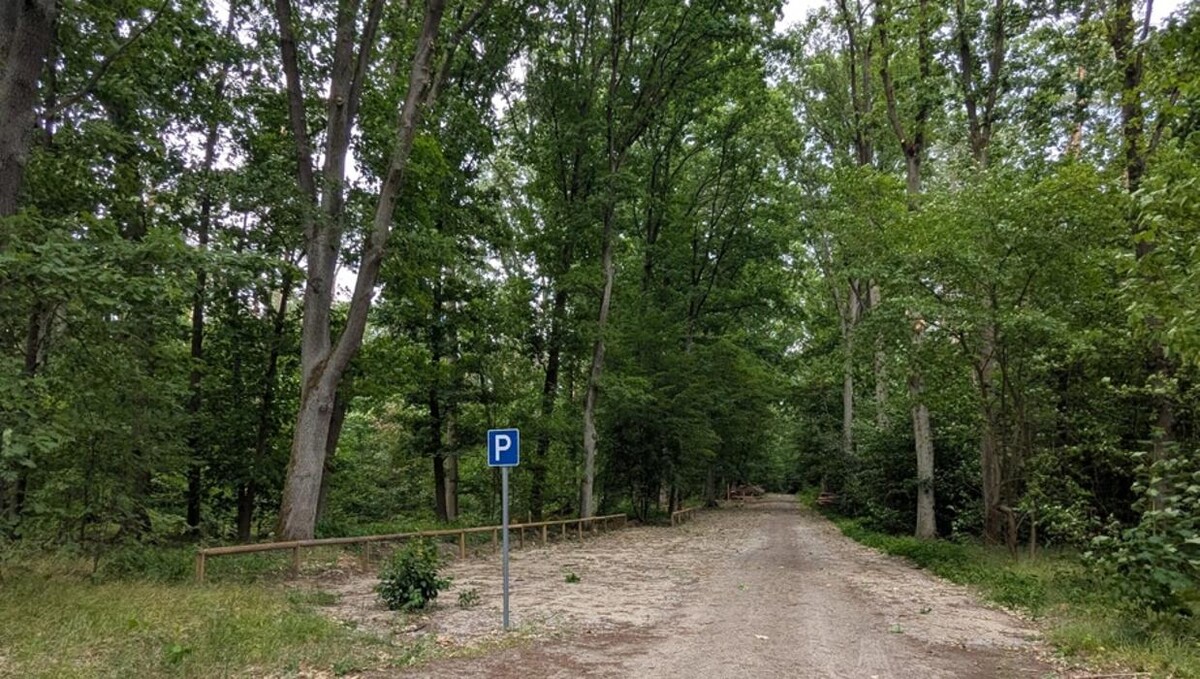 Bilder FriedWald Oberkrämer