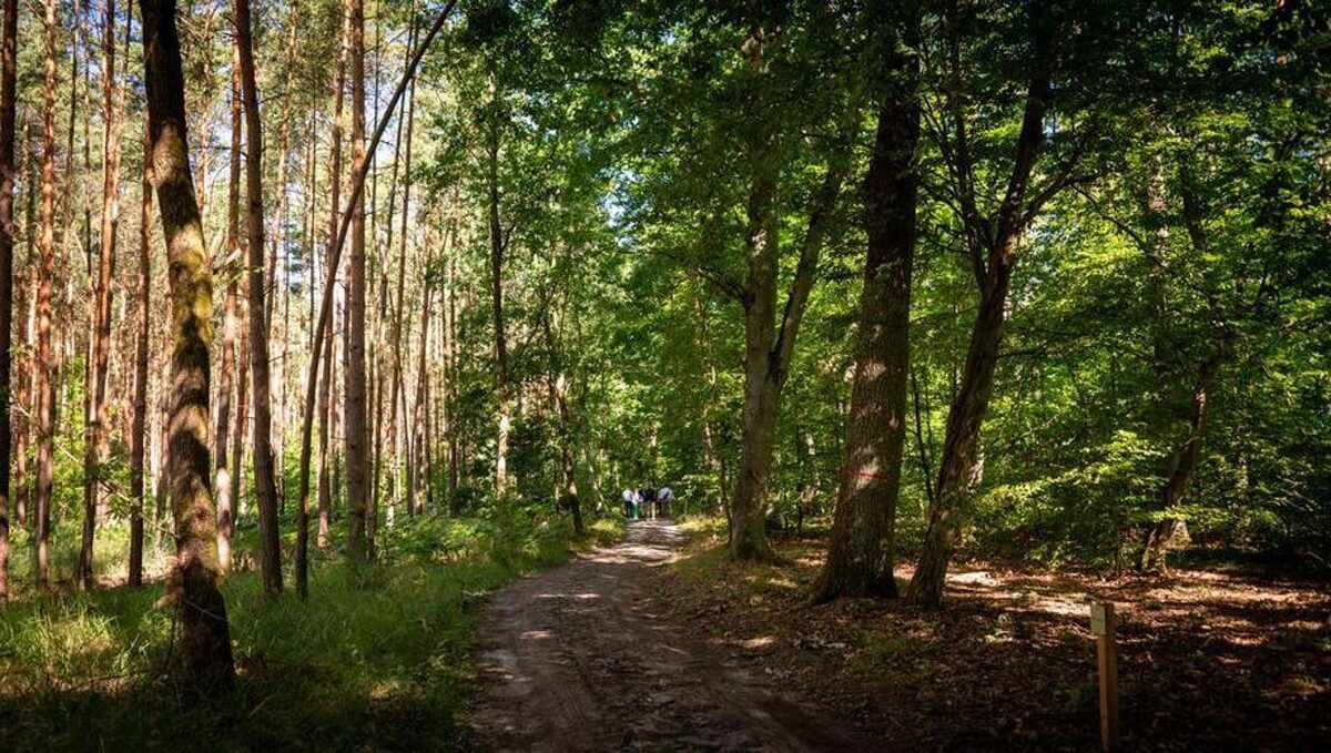Bilder FriedWald Oberkrämer